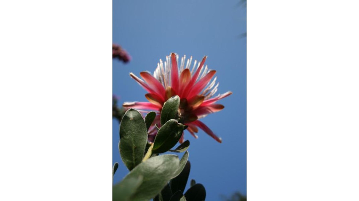 e8672d86-IDB-slideshow-gallery.jpg